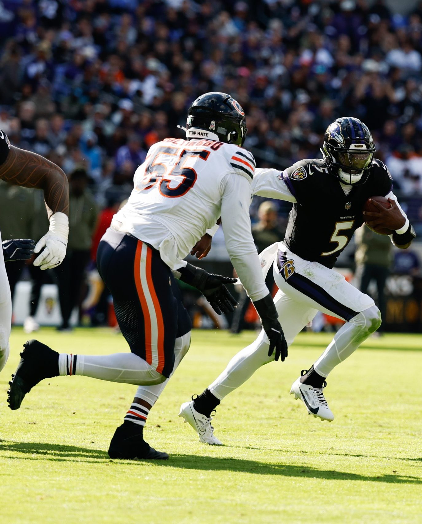 Chicago Bears, Dayo Odeyingbo